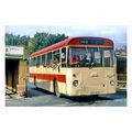 pu0243 - General Bus - UCK 539 at Chester-Le-St...