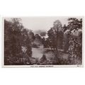View from the Terrace Richmond Postcard RP Surr...