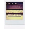 Old Forget Me Not Flower Sign Award Analog Phot...
