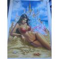 Zenescope Sexy San Diego Comic Con Beach 11" x ...