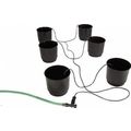 Eco Growing Systems, Eco 6 Pack Growing System