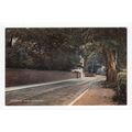 Stafford Road Bloxwich Postcard Staffordshire