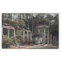 The Ruins Virginia Water Postcard Surrey V18