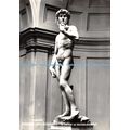 D099169 Firenze. Galleria Dell Accademia. Il Da...