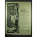 1961 Bankers Trust Company Ad - Ancient Hemlocks