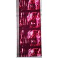 ALICE COOPER. Pk MTP - c064L . 1 STRIP OF 5 - 3...