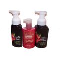 Poinsettia Petals Foaming Soap & Winter Candle ...