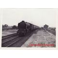 Railway Photo LNER A1 60135 Madge Wildfire Rans...
