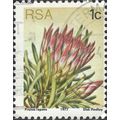SOUTH AFRICA, FLOWER, Protea repens, yellow 197...