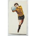 1978 Golden Wonder Soccer All Stars 15 Peter Sh...