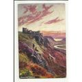 7188 Wales PENNARD Castle Castle Tuck Oilette P...