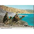 Eilat, Israel - Beduins, Gulf of Eilat, camels ...