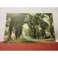 LOVERS WALK, BRISTOL. used antique postcard by ...
