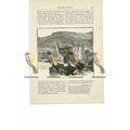 Tintern Abbey, Monmouthshire, Book Illustration...
