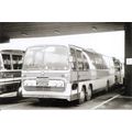 Black & White Photograph of Appleby's Coaches o...
