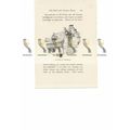 Old House, Amersfoort, Holland, Book Illustrati...