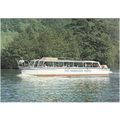 Pleasure Cruiser the Paddocks Venture at Symond...