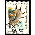 Africa Tanzania 1992 Seashell 10/- Used Stamp