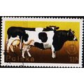Poland. 1975 1z50 S.G.2367 Used