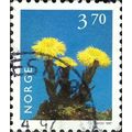 NORWAY, FLOWER, Coltsfoot, Tussilago farfara, blue 1997, 3.70kr