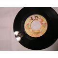 The Dirt Band 45-AN AMERICAN DREAM/TAKE ME BACK...