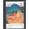 CAYMAN ISLANDS 1986 FISH SPINY DIODON HOLACANTH...