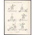 CO-OPERATION 1934 Fitz PUNCH CARTOON PAGE