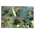 NATIVE BIRDS OF NEW ZEALAND. multiview. used po...