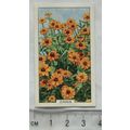 1938 Gallaher's Garden flowers No. 4 Zinnia