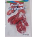 dress for the weather harcourt lesson 14 grade ...