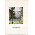 Camp in the Rockies, USA/Canada, Book Illustrat...