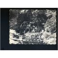 Surrey VIRGINIA WATER Waterfall Postcard by Fri...