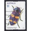 Australia 2016 Jewel Beetles - Castiarina klugi...