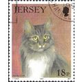 JERSEY, CAT, Maine-Coon, violet brown 1994, 18p