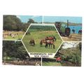 multiview, BOURNEMOUTH and NEW FOREST. unused v...