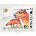SINGAPORE 1993 MAMMALS LARGE MOUSE DEER $2 USED
