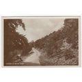 Quietude on Arnside Knott Postcard RP Cumbria