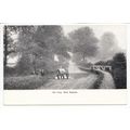 The Ford Much Hadham Postcard Hertfordshire Tad...