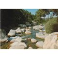 River and Forest Corsica France Postcard used VGC