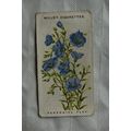 1913 Wills Old English Garden Flowers 2nd serie...