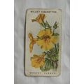 1913 Wills Old English Garden Flowers 2nd serie...