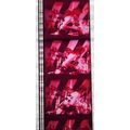 ALICE COOPER. Pk MTP - c054B . 1 STRIP OF 5 - 3...