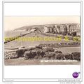 BEACHY HEAD AND WESTERN LAWNS, EASTBOURNE, SUSS...
