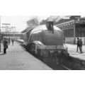 19 A4 'BITTERN' @ STATION (1)