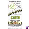 Players Hidden Beauties Card No. 02 A Plant Wit...