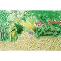 01530 00029: 'Jungle Garden, Burton Agnes Hall ...