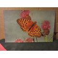 DARK GREEN FRITILLARY BUTTERFLY unused vintage ...