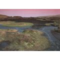Tarddiad Afon Hafren Welsh Local Nature Photogr...