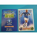Andy Van Der Meyde - Everton - Match Attax 2008...