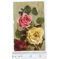 1910 postcard Birthday Greetings - multi-colour...